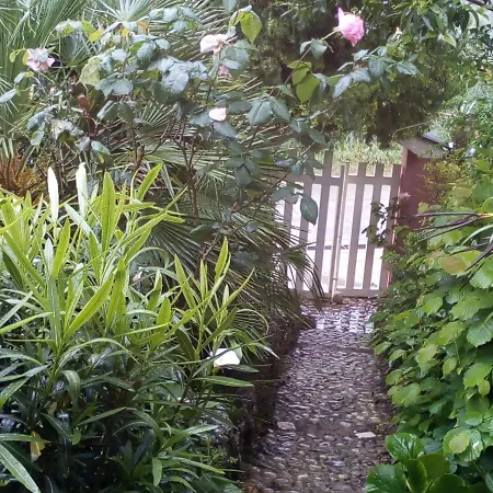 Domus Rosada 日帕特尼纳