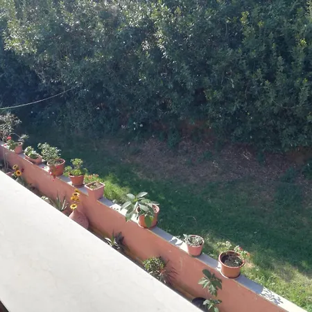 Domus Rosada アパート *