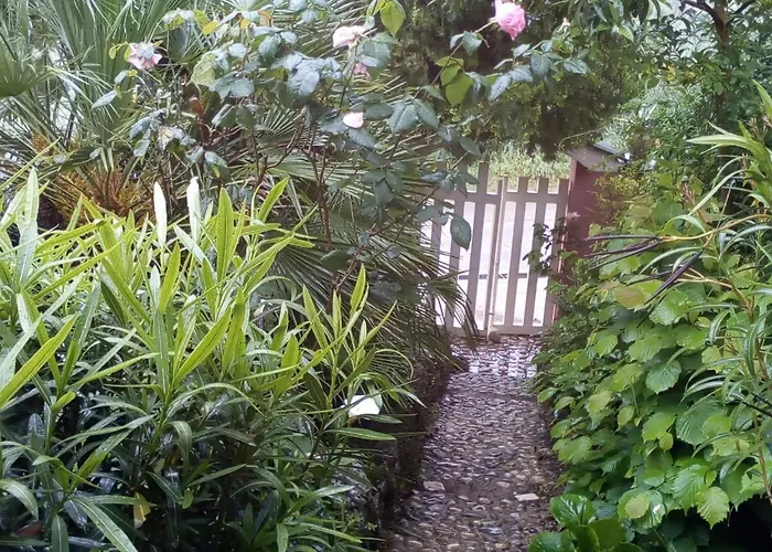 Domus Rosada Рипа-Театина