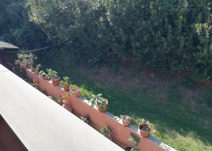 Domus Rosada Апартаменты *