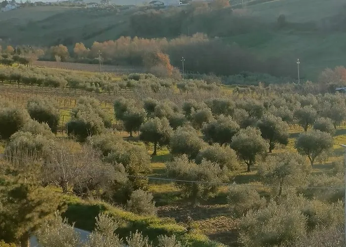 דירה Domus Rosada Ripa Teatina